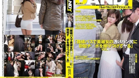 DANDY-323 “Rubbing the erection Ji ○ port on the transparent pan butt of a beautiful lady on a route bus” VOL.2